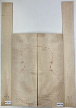 Back & Sides Sycamore / Europ. Maple, Archtop Unique Piece #016
